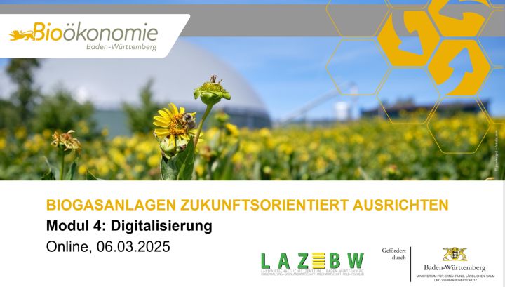 Biogasanlagen zukunftsorientiert ausrichten